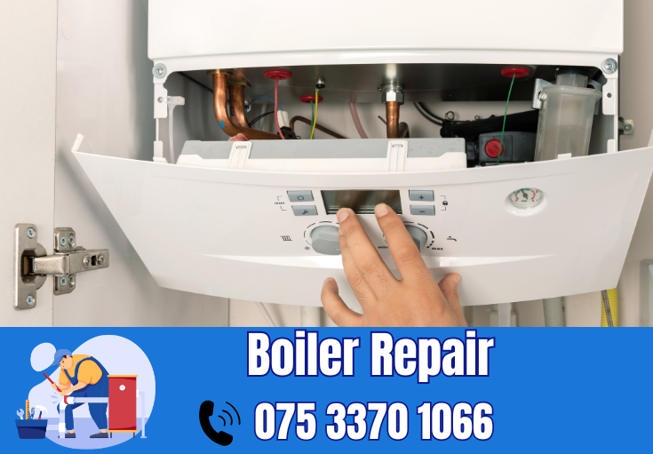 boiler repair Swanley