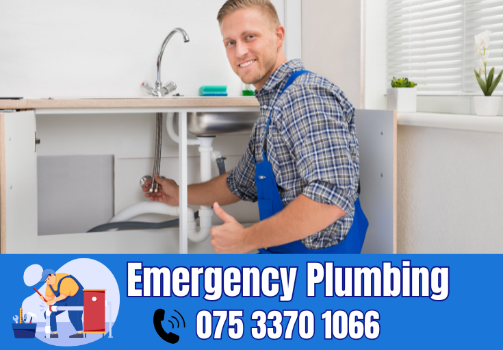  plumber Eynsford