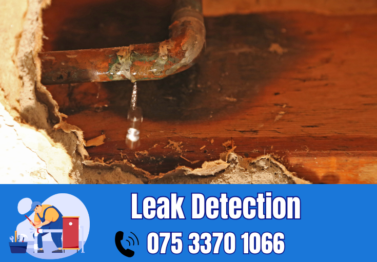 leak detection Swanley