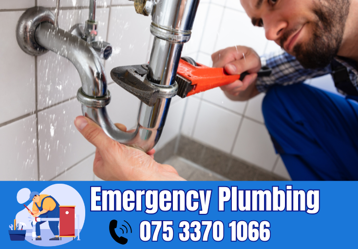  plumber Swanley Village