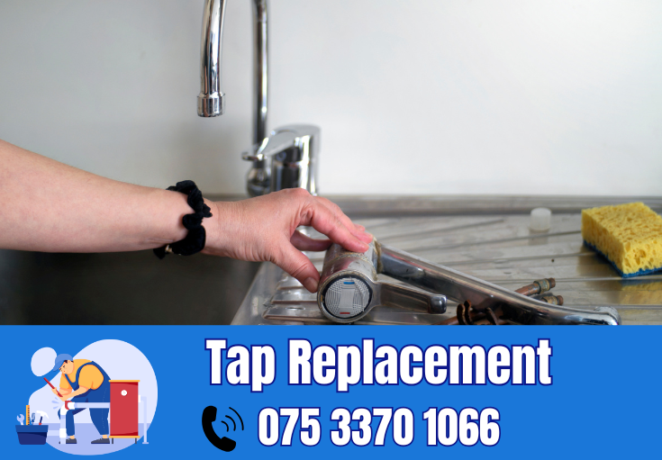 tap repair and replacement Swanley