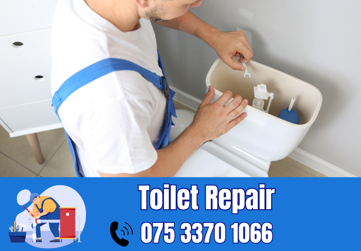 toilet repair Swanley